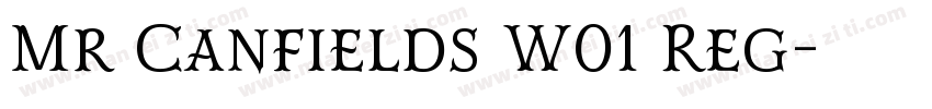 Mr Canfields W01 Reg字体转换